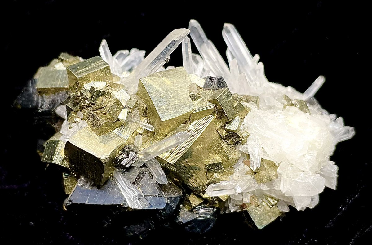 Weis Earth Science Museum tweet media