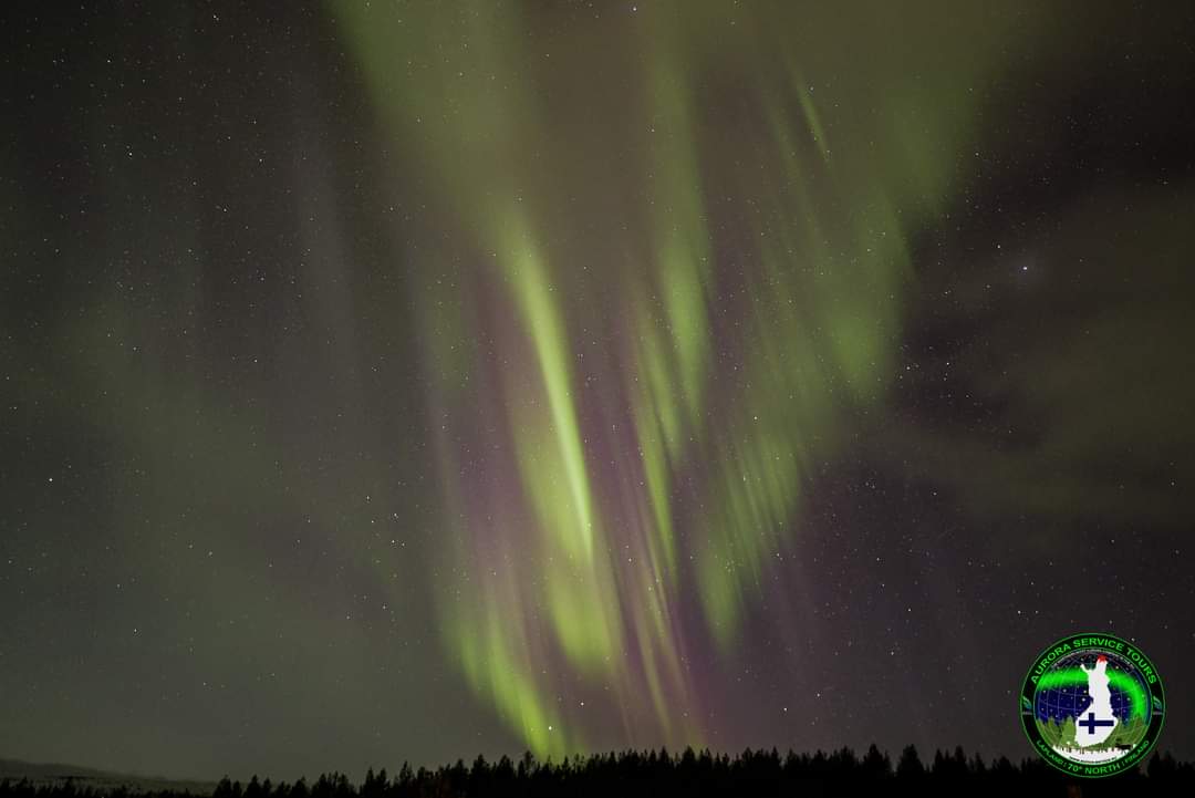 Epic #aurora in progress up here in #utsjoki #Finland
<a href="/auroraserviceeu/">Aurora Service (EU)</a>
#auroraborealis #northernlightsphotography #northernlights <a href="/chunder10/">James Rowley-Hill</a> <a href="/ExploreUtsjoki/">Explore Utsjoki</a> <a href="/TamithaSkov/">Dr. Tamitha Skov</a> <a href="/owenhumphreys1/">Owen Humphreys</a> <a href="/London_Lady/">Lisa Pattenden Aurora Chaser 🌏 ⭐</a> <a href="/OnlyInLapland/">Only in Lapland</a>