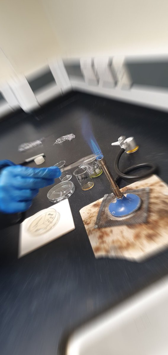 Avantis | Official Announcements News tweet media