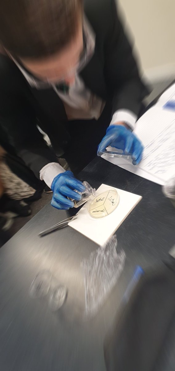 Avantis | Official Announcements News tweet media