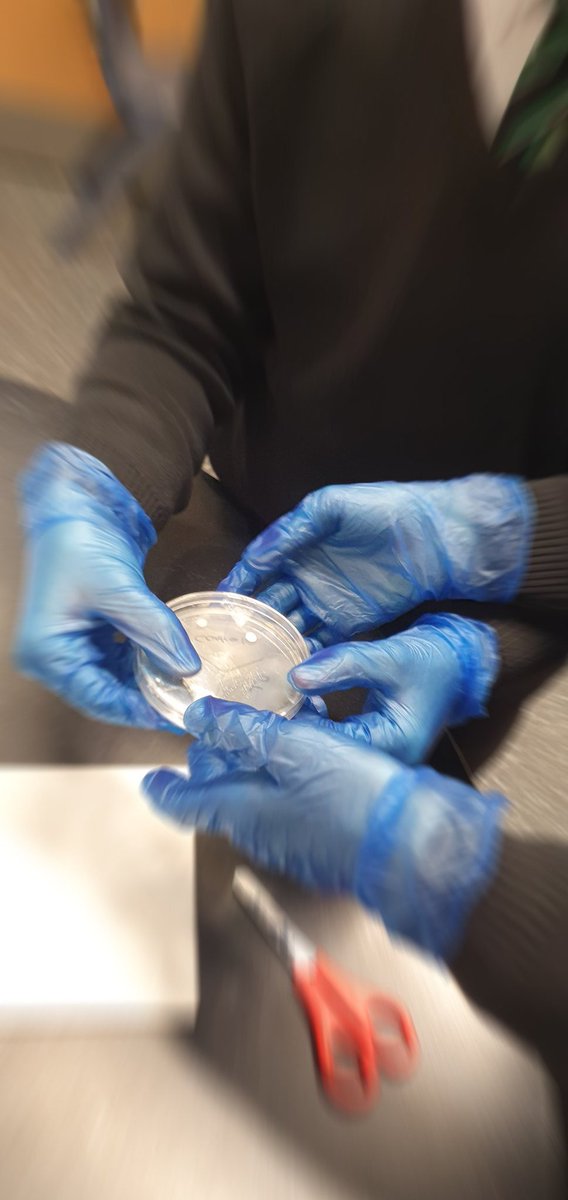 Avantis | Official Announcements News tweet media