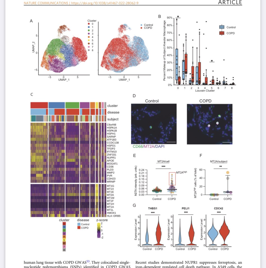 COPD Cell Atlas is finally out! Read “Characterization of the #COPD alveolar niche using single-cell RNA sequencing” for many exciting & novel insights! Kudos @maorsauler @jmcdonou @ivanorosas, @ptimshel all others, for this amazing effort. See 🧵below nature.com/articles/s4146…