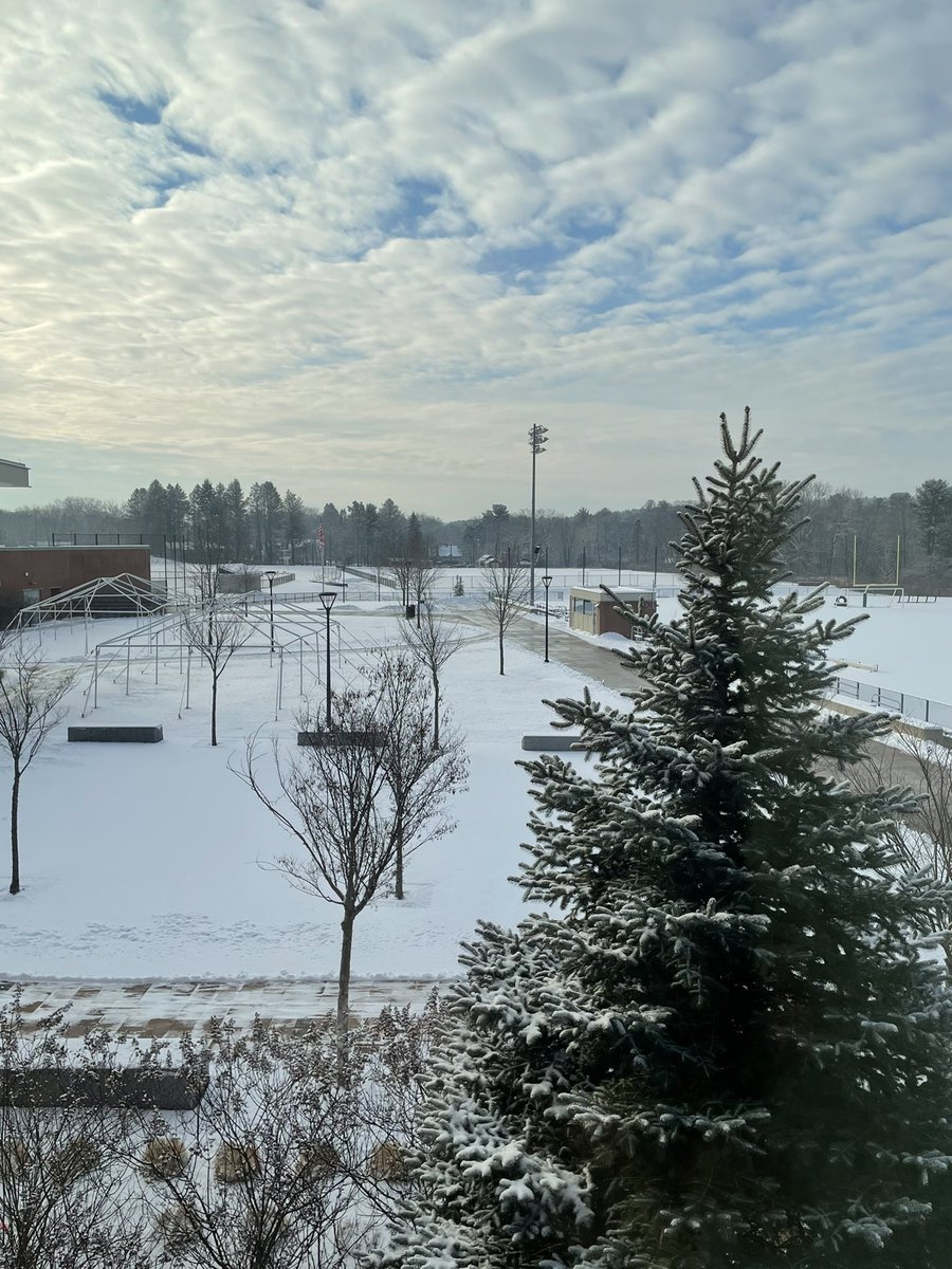 Beth Lambert tweet media