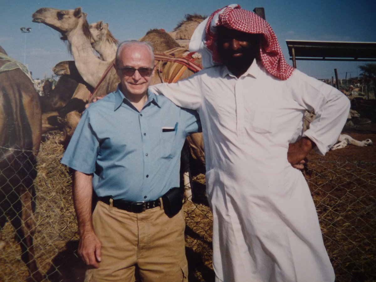 Recuerdos de viajes.
Mercado de camellos en los Emiratos Árabes Unidos.