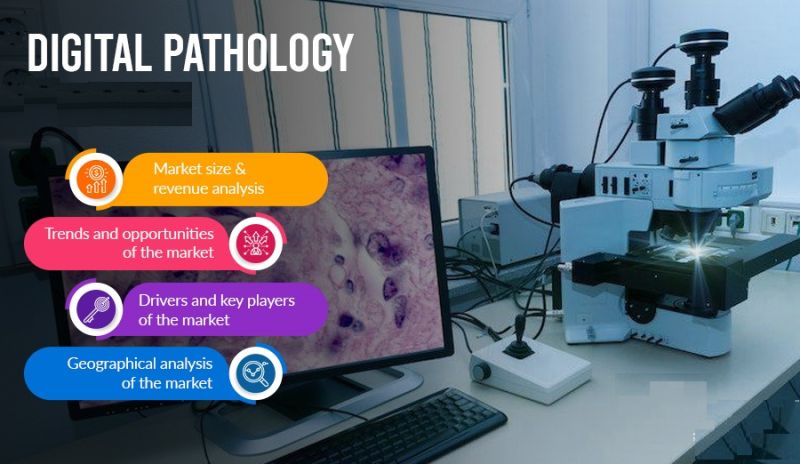 layer_lautrec's tweet photo. What Are Major Catalysts for the #Digital #Pathology #Market and Their Impact During the Short, Medium, and Long Terms?
Receive Free Sample Pages@ https://t.co/AdszzBfOgx
#HumanPathology, #Veterinary #Pathology #DiseaseDiagnosis, #Teleconsultation, #DrugDiscovery, #Training https://t.co/uWAK6GbU3F