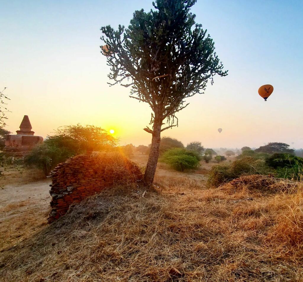 bumblingtourist's tweet photo. 🇲🇲 Sunrise in Bagan ❤
This is from Bagan, Myanmar. Have you seen the video?
.
Follow our adventures at https://t.co/9kQkCeMlg0 .
.
#mandalay #asia #exploreasia #travelasia #travelmyanmar #exploremyanmar #ruralmyanmar #travel #travelphoto #travelpho… https://t.co/chb8ior0C5 https://t.co/xdLIYnUII1