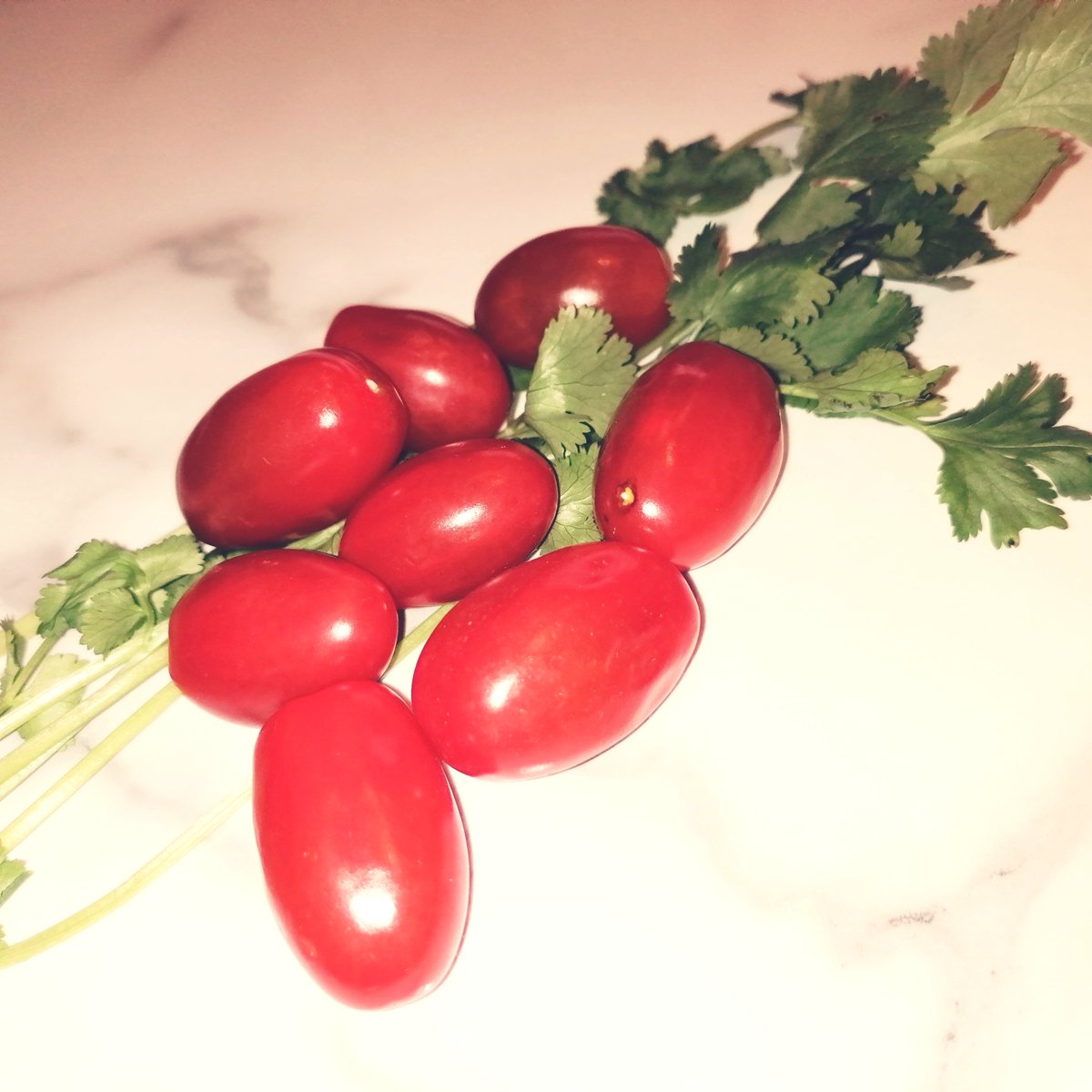 Make an #indianstyle tomato soup with a few staple ingredients!

Cook your tomatoes with onion, garlic powder, salt and a touch of #turmeric. Add some #vegetablebroth and blend when everything is cooked! Garnish with fresh coriander. Serve with plain white rice and #enjoy