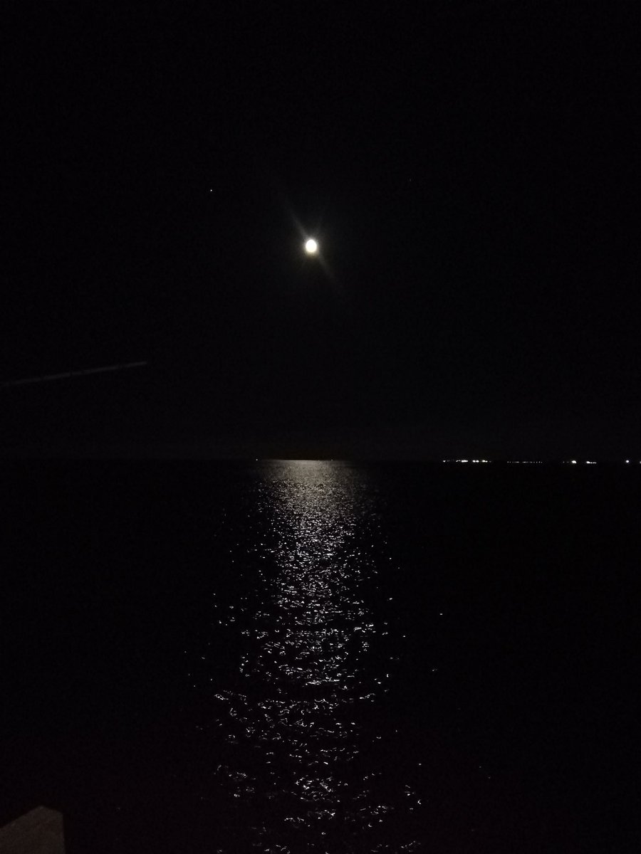 LisaVise's tweet photo. #moon #sea #love https://t.co/dI498CQMpZ