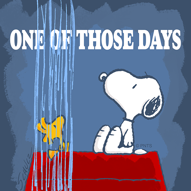 Woodstock's tweet photo. ''' ''" "' '' '' '" """" "" "''""! #TodayIsNotMyDay https://t.co/85E4JGbCpA