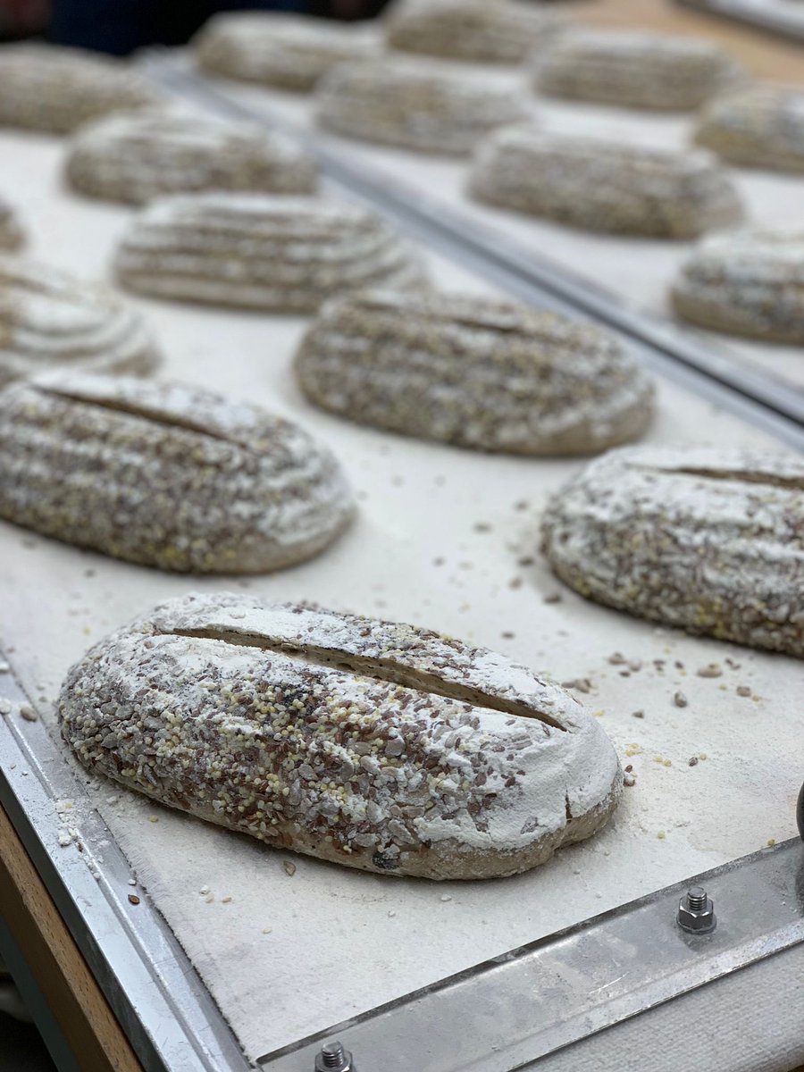 artisanschool's tweet image. Nothing we like better than the sight of dough quietly proving. Not for nothing is this known as long-fermentation bread. Multigrain sourdough soaker. #nutritiousbread