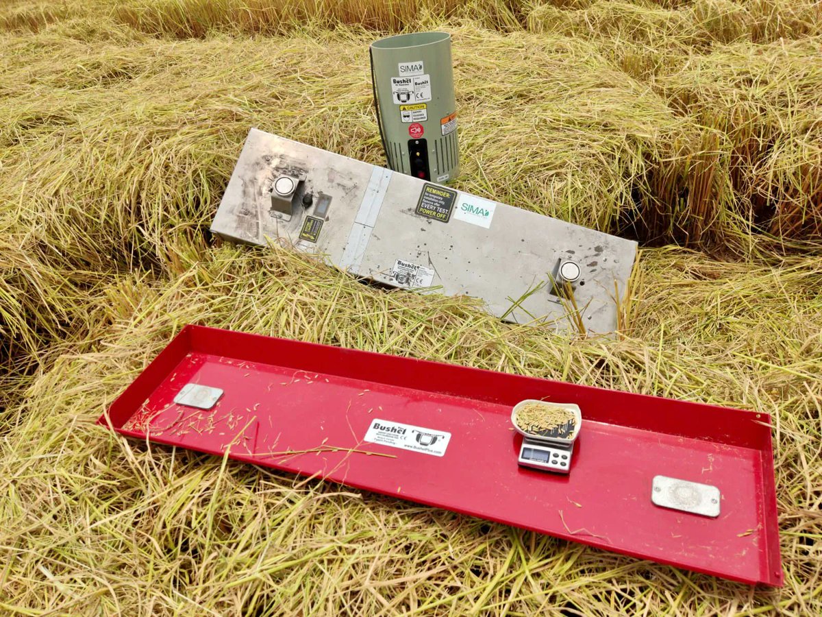 BushelPlus's tweet photo. #RiceTuesday! What steps are you taking to ensure your harvest losses are in check whenever you take your combine into the field?
Our dealer in Paraguay, SIMA, ran some Bushel Plus demos in rice to show farmers how easy it is to save yield! https://t.co/rXzHCGljvA #AgTwitter https://t.co/UWhQtzkWAd