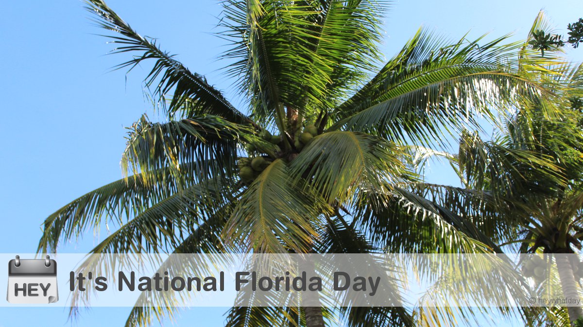 It's National Florida Day! #NationalFloridaDay #FloridaDay #PalmTree