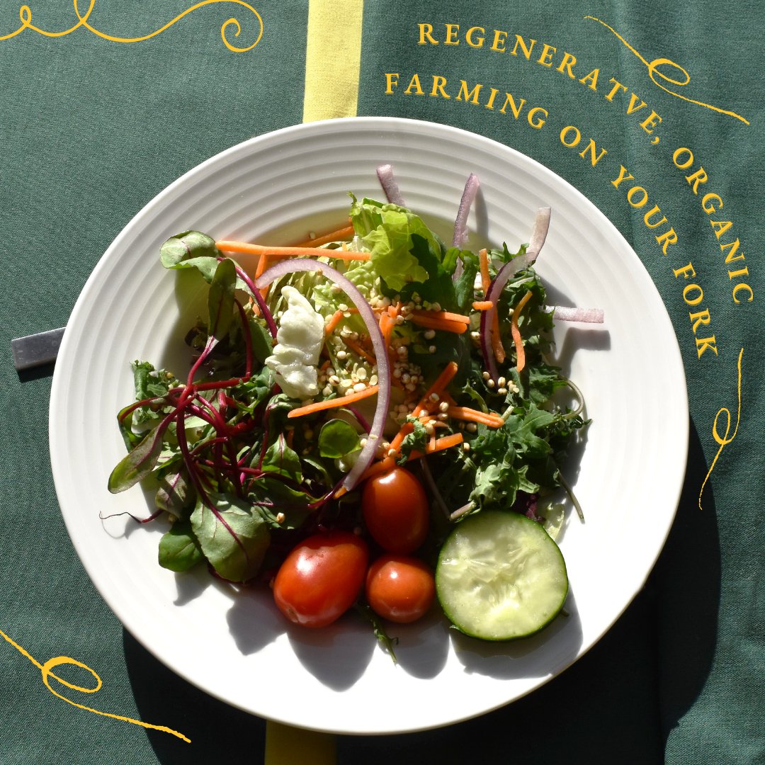 Have you seen the new selection of organic greens in Harrison Dining Hall? 🥬
We’ve collaborated with GoodHealthy Farms to offer crisp, farm-fresh food right from New York! Give your body the fuel it needs and try them in your salad (or pasta or pizza or ANYTHING) today 🥗