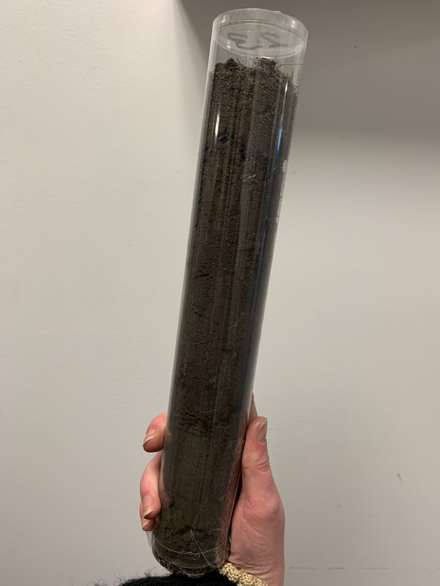 UoN_Beet_team's tweet photo. This morning Lucy got stuck in helping @BethROSullivan take soil cores from her tillage trials. Pay back after all the beet harvests! https://t.co/enTr3pAePN