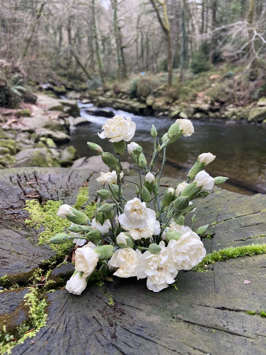 DevonWilds's tweet image. Exploring the narrative… 
Created several backstories. Wonder which it is?

📍Longtimber woods, Ivybridge

#devonwood #ivybridge #devonwilds #woodland #devoncountryside