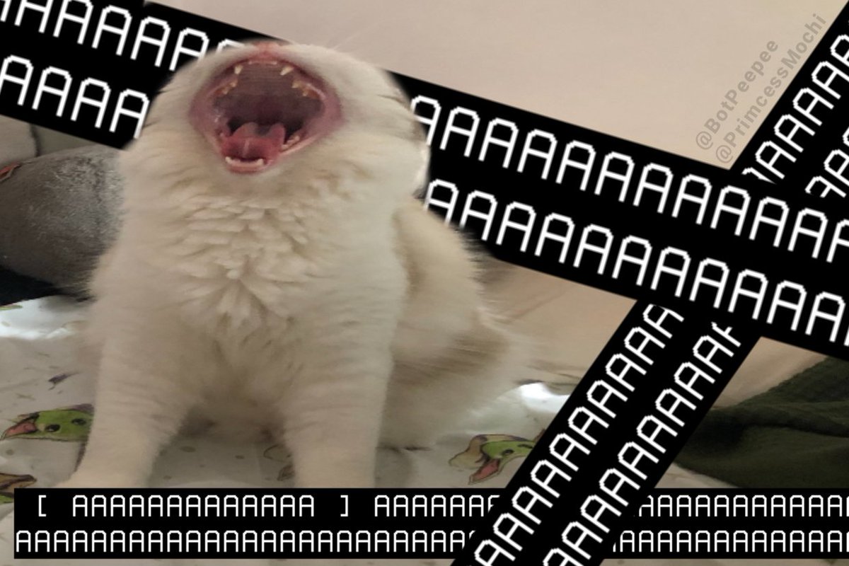 𝓒𝑨𝑺𝑺 (@unjusttrauma) on Twitter photo 
