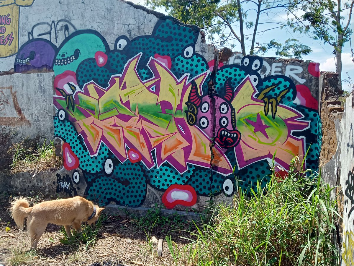 69SolStreet tweet media