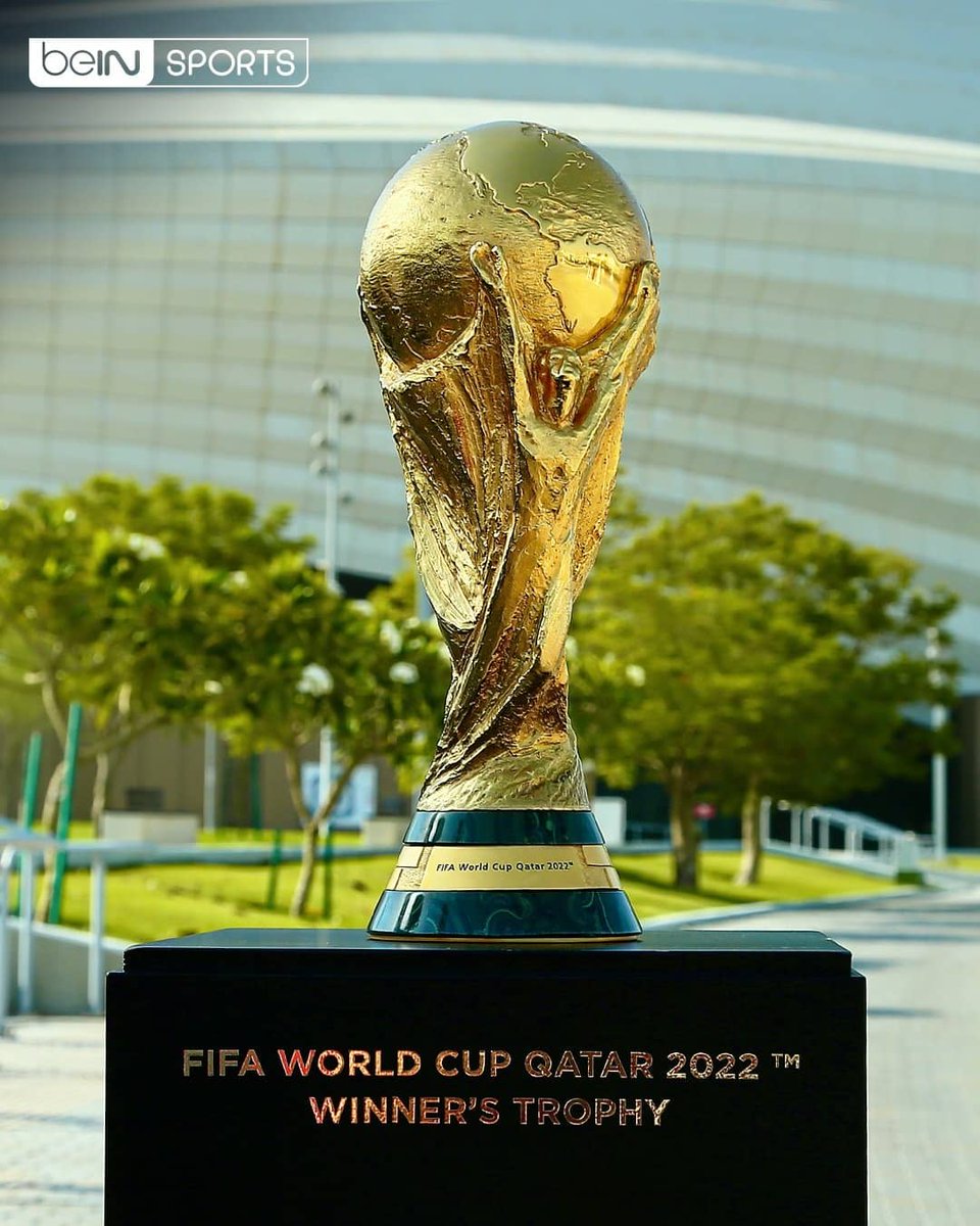 derradjihafid's tweet photo. ⏳ باقي 300 يوم عن انطلاق كأس العالم FIFA قطر 2022 بإذن الله. 

#كأس_العالم #قطر2022 
#Qatar2022 #RoadToQatar2022 https://t.co/GIk6mM8lj2