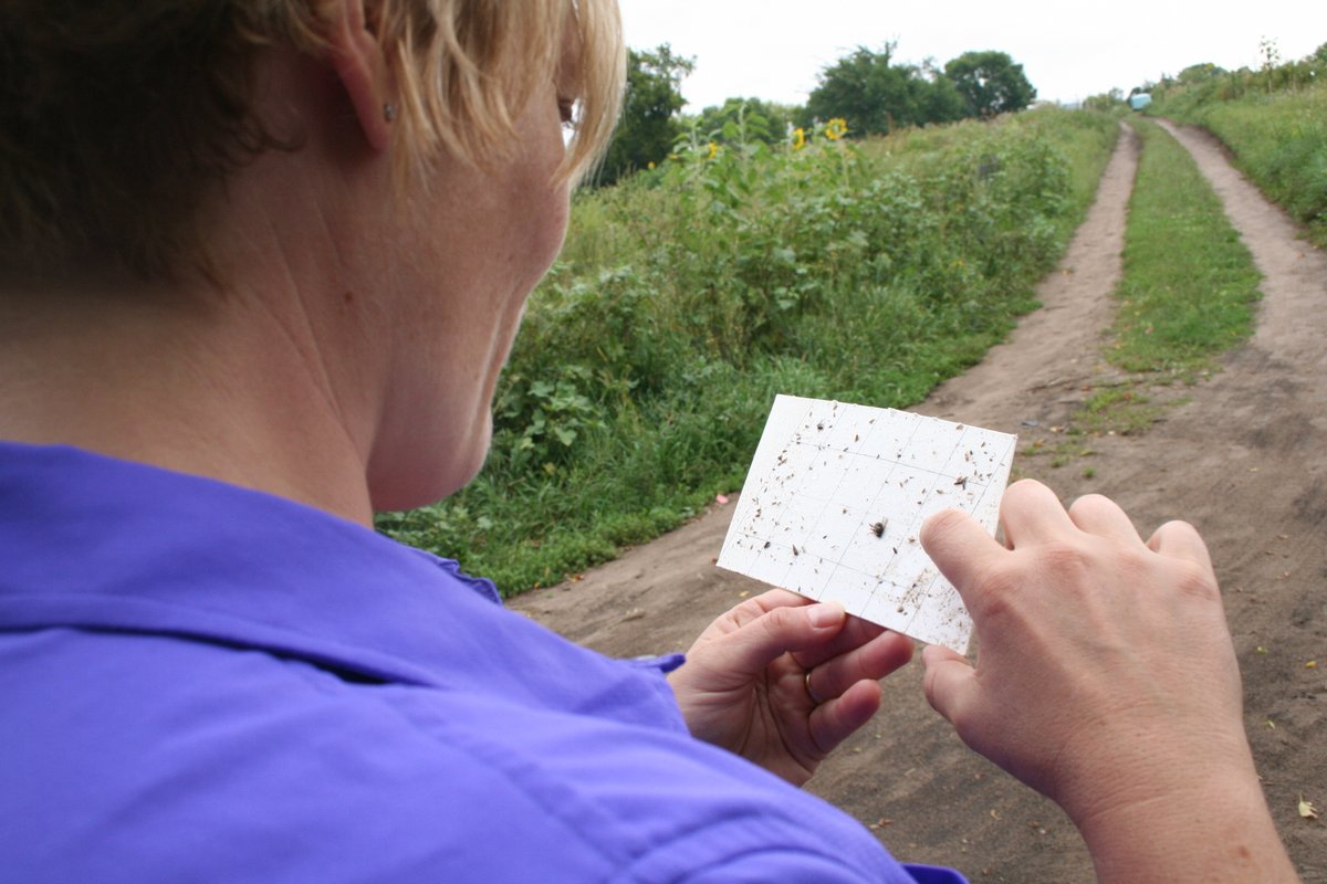 Minnesota Department of Agriculture tweet media