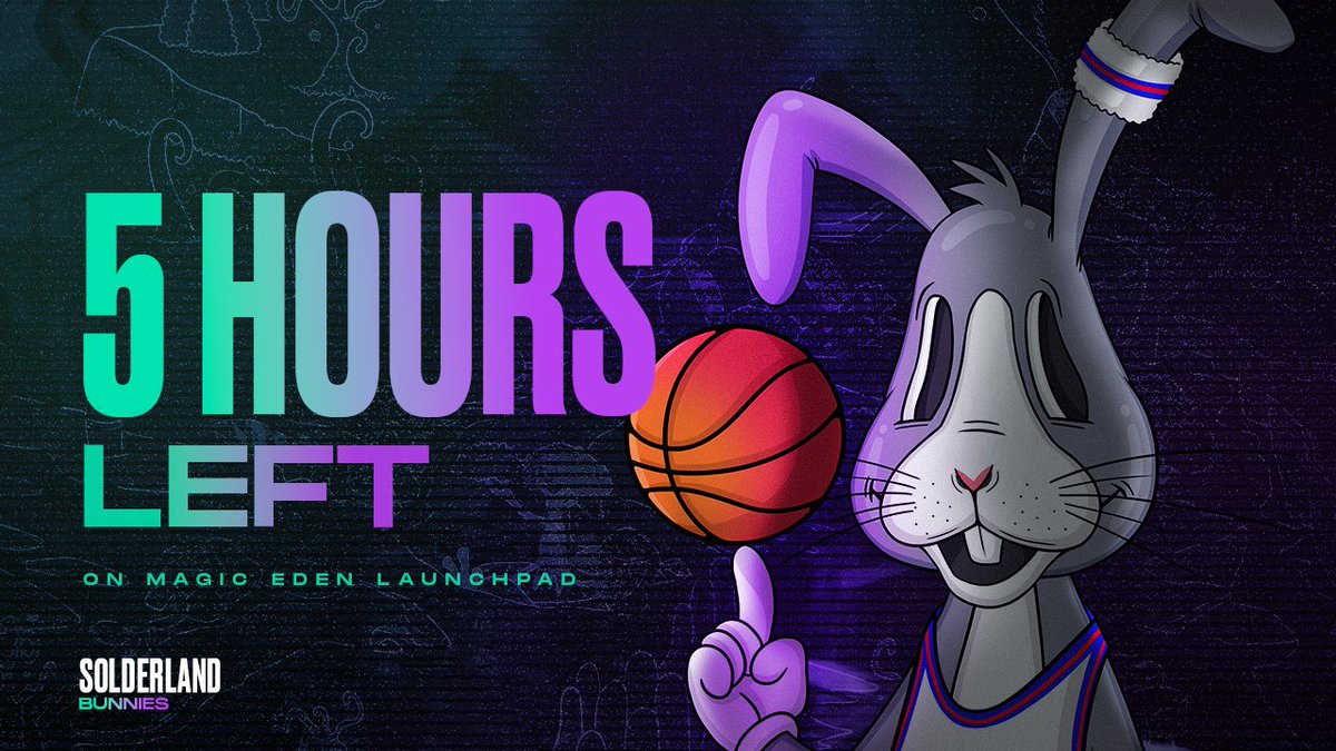 SOLDERLAND 🐰 🦫 tweet media
