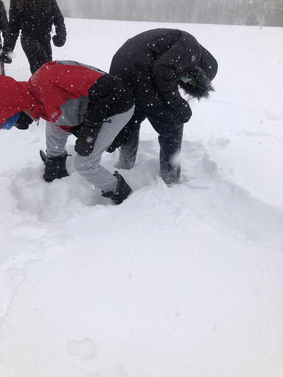 Etobicoke Outdoor Education Centre tweet media