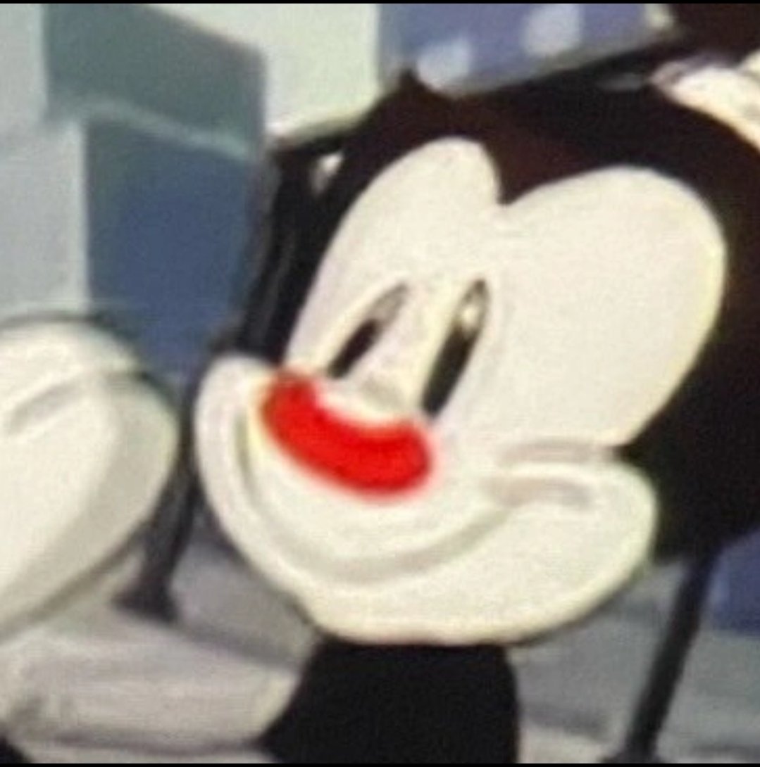 byebyegon's tweet photo. Only nose always nose- #animaniacs #dot #dotwarner #dailydose #zanydosers #woah https://t.co/Wytm2hR2NZ