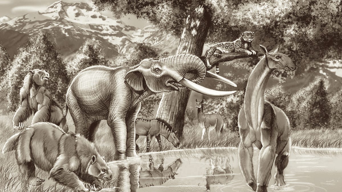 This Elephant-Like Giant Roamed South America for 2 Million Years