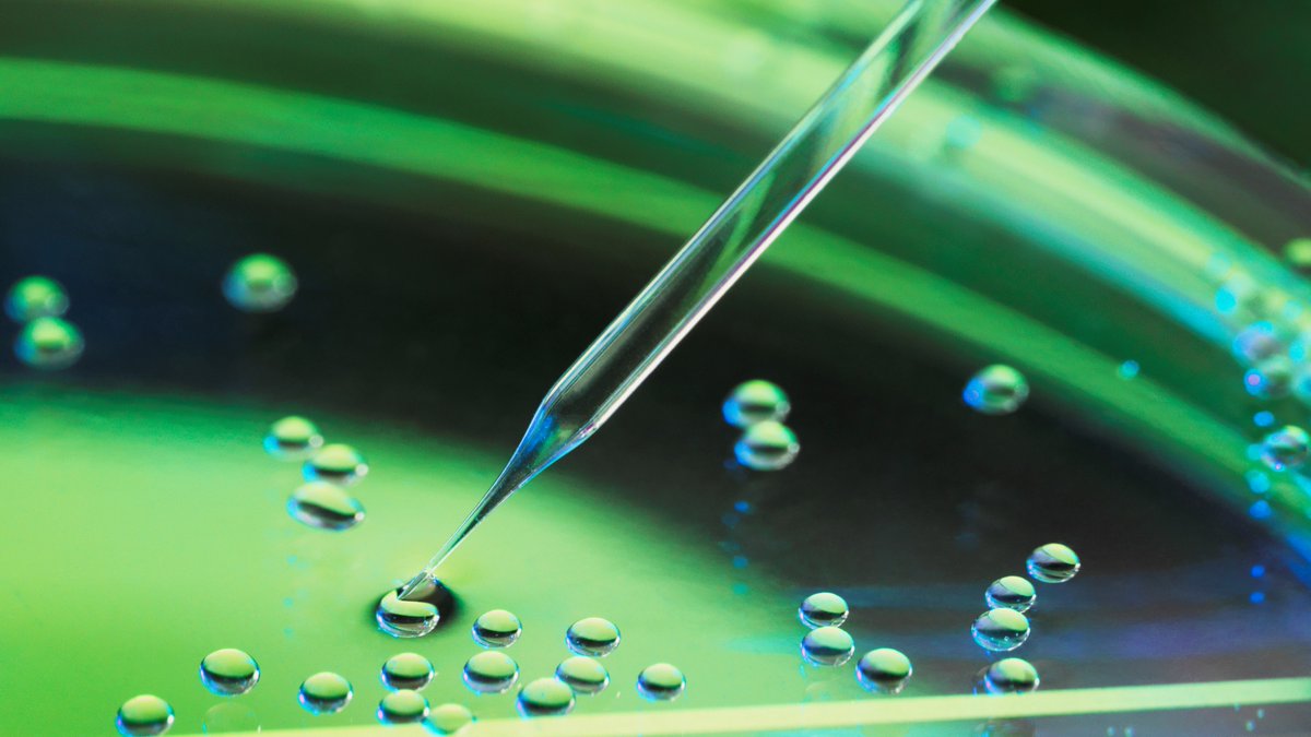 SchaefflerDE's tweet photo. Mikroorganismen als Turbo-Recycler, Muscheln als Innovationsvorbilder oder künstliche Muskeln als Aktoren: Mit wissenschaftlichem Pioniergeist rüstet sich die Biotechnologie für den Kampf gegen den Klimawandel. Mehr auf https://t.co/nE3CS6qehA #Innovation #tomorrowSchaeffler https://t.co/SZUu7QahxE