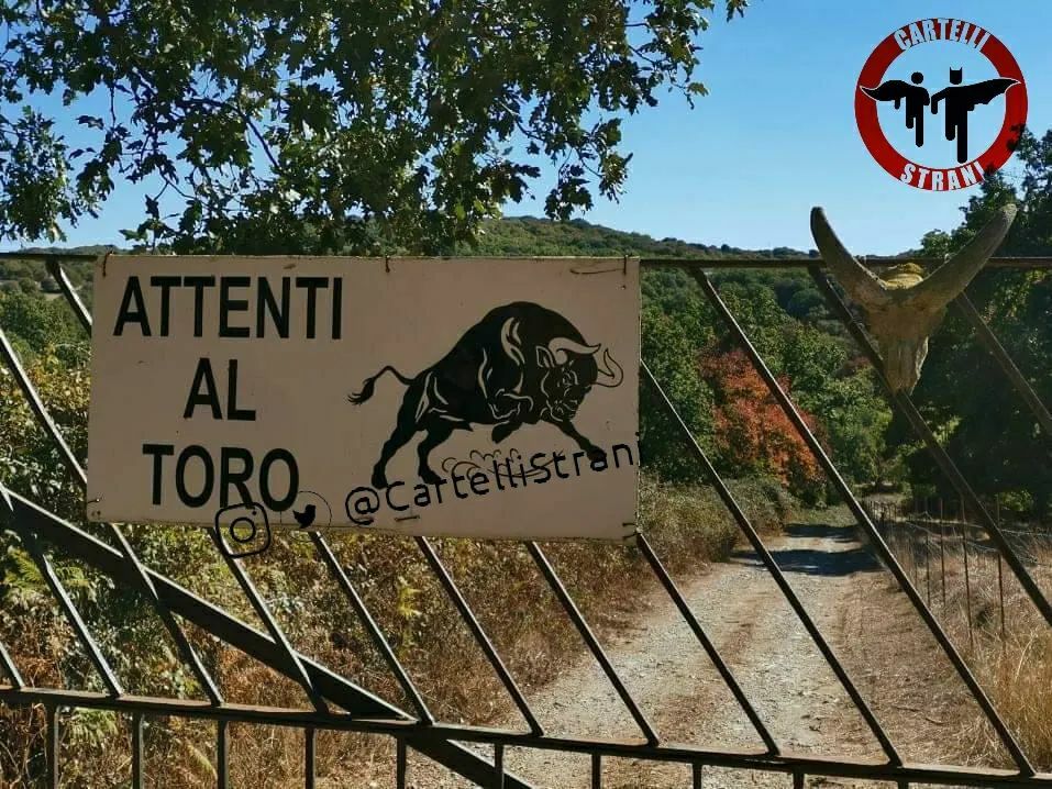 CartelliStrani's tweet photo. Segnalazione di @millinaspina https://t.co/xuakNVk4uv https://t.co/kJoT4seNiq