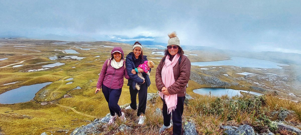 Raymijano's tweet photo. Con tres bellas damas en lagunas Alto Perú: Martha, Rubi, su peque y María disfrutando de un imponente paisaje que nos brinda la jalca cajacha. Creamos experiencias únicas para viajeros cómo Tú. Info: 976534645
😎🇵🇪📸🦅📸🇵🇪😎

@ConoceelPeru @DirceturCaj https://t.co/Iy5z7MWzoh