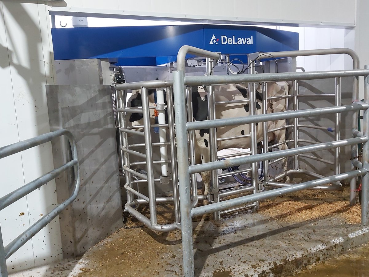 The grand unveiling! More from the Belmoral startup yesterday! #ontag #dairydonewell #farming <a href="/DeLavalCanada/">DeLaval Canada</a>