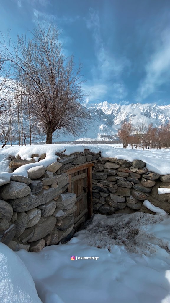 AxlamShiGri's tweet photo. The site itself is used as a stockyard for cattle.
📍Alchori Ranga Shigar Valley 
Baltistan 
.
#shigar #baltistan #cattle #stockyard https://t.co/81pDuZnS5m