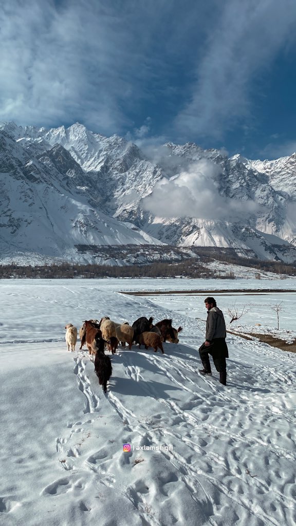 AxlamShiGri's tweet photo. The site itself is used as a stockyard for cattle.
📍Alchori Ranga Shigar Valley 
Baltistan 
.
#shigar #baltistan #cattle #stockyard https://t.co/81pDuZnS5m