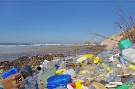 One of the biggest risks to humans from surface water pollution are pathogens that cause types of waterborne diseases. ... Surface water contamination can also lead to toxic products remaining in fish because of exposure to pathogens.