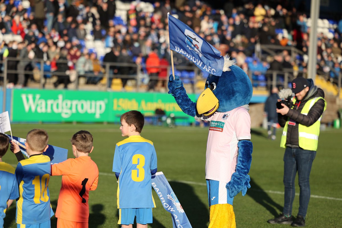 Bluey the Bluebird tweet media
