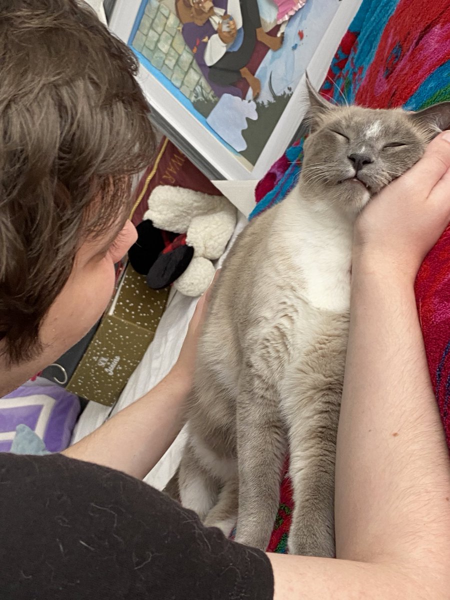 mmaethe's tweet photo. Definitivamente o @alanzoka tem o posto de pai de gato, tirei essa foto dele ninando o Flynn KKKKKKK https://t.co/netWmdyLAp