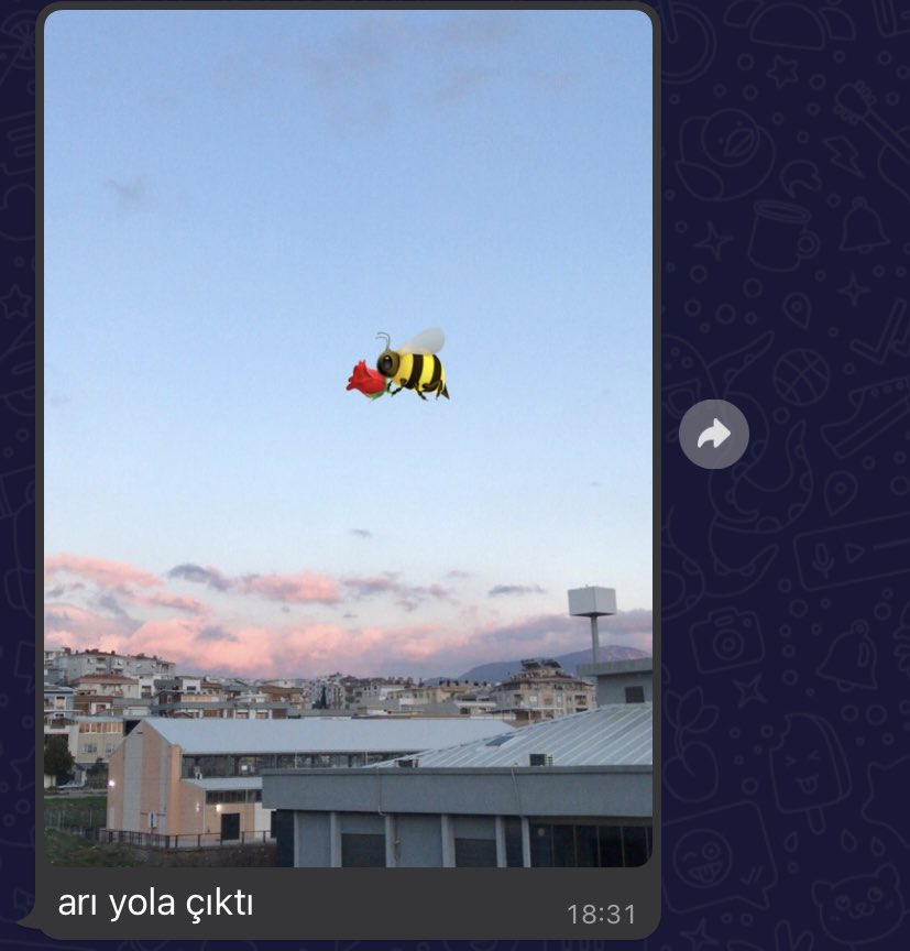 İzmir’den arıyla benim için gül yollayan canım arkadaşım, teşekkür ederim sana 🤎 <a href="/1falankes/">biraz içimi dökeceğim</a>