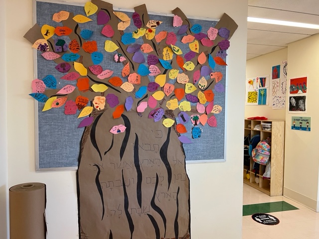 schechterNYC's tweet photo. As we celebrate Tu Bishvat during the Sabbatical year for the Land, K-8 Schechter Manhattan students reflect on the importance of giving the land a year to reset and recharge and how these concepts apply to our own lives. #Gesher https://t.co/PuHqpePKEK