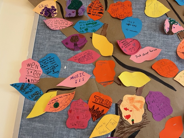 schechterNYC's tweet photo. As we celebrate Tu Bishvat during the Sabbatical year for the Land, K-8 Schechter Manhattan students reflect on the importance of giving the land a year to reset and recharge and how these concepts apply to our own lives. #Gesher https://t.co/PuHqpePKEK