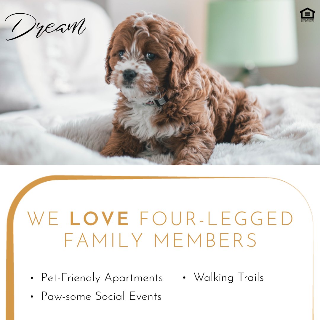 DREAM Owensboro Apartment Homes (DreamOwensboro) Twitter