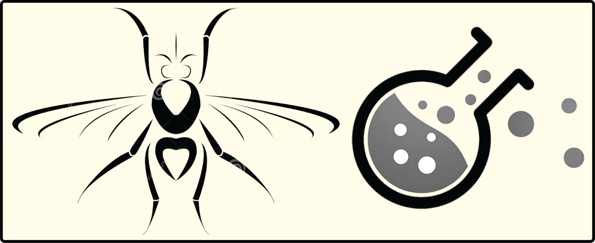 Do you work with hemimetabolous #insects? Shed tears of envy over transgenic flies and genetically modified #CRISPR mosquitoes? Let's change the game! Help us choose species of Hemimetabola for functional #genetics tool improvement &amp; development! tinyurl.com/4vkkj4h2