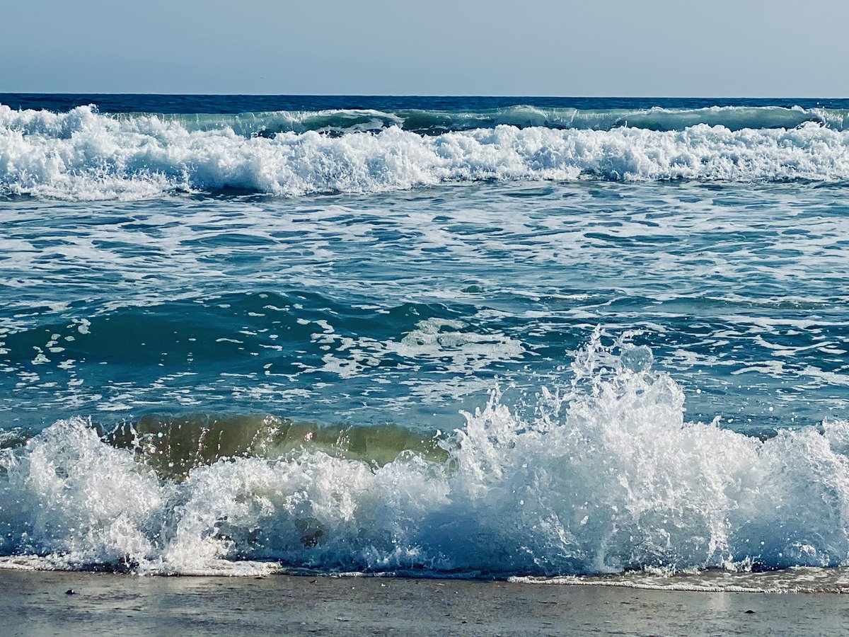 Vanishree (Artbooksandlife) Twitter