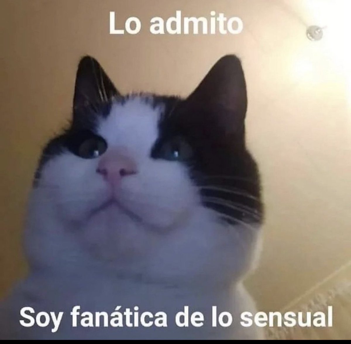 aXo (@axozerr) on Twitter photo 