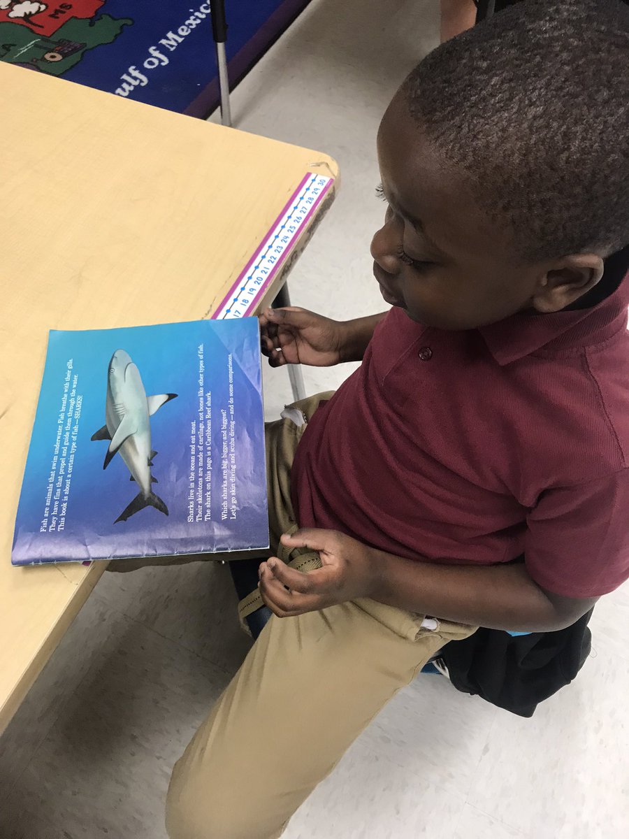 MsMostlyWright's tweet photo. Books, books, &amp; more books! #CCPSliteracy #literacyweek https://t.co/LE0bmUs8e0