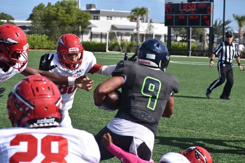 Alexander Perez tweet media