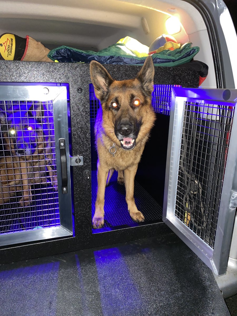 CABboxes's tweet photo. CAB 2 double van box in a Citroen Berlingo van, which is fully appreciated by G.S.D's Storm &amp; Boris.
Available for most UK van models.
£1,074.00 inclusive of vat &amp; excluding LED compartment lights
☎️ 01653 697096💻 info@cabtransitboxes.co.uk🖥 https://t.co/ZWhdKAmeeQ #cabboxes https://t.co/mRdTuIsHZW