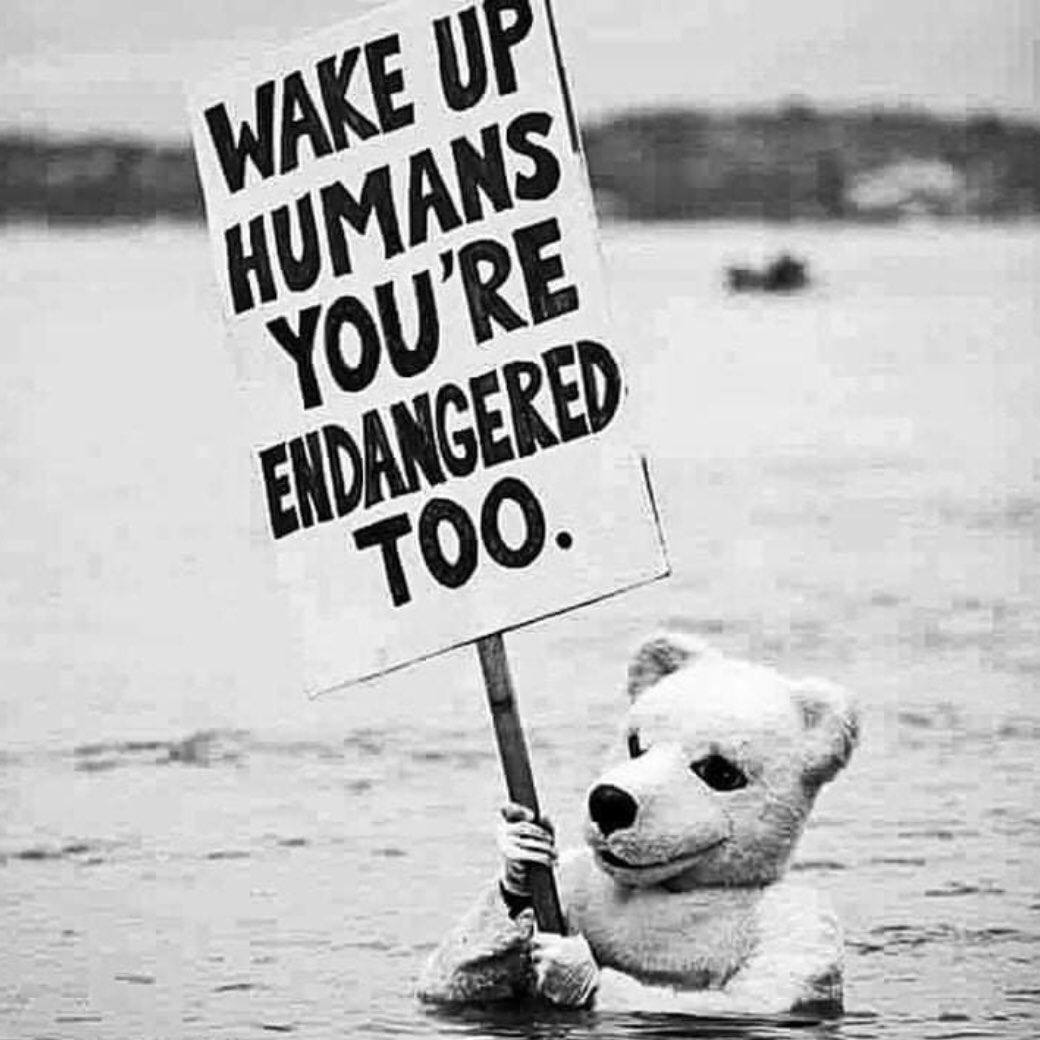 EarthHeroOrg's tweet photo. As animals get pushed to the brink so will we. https://t.co/JK2WH4qh2b