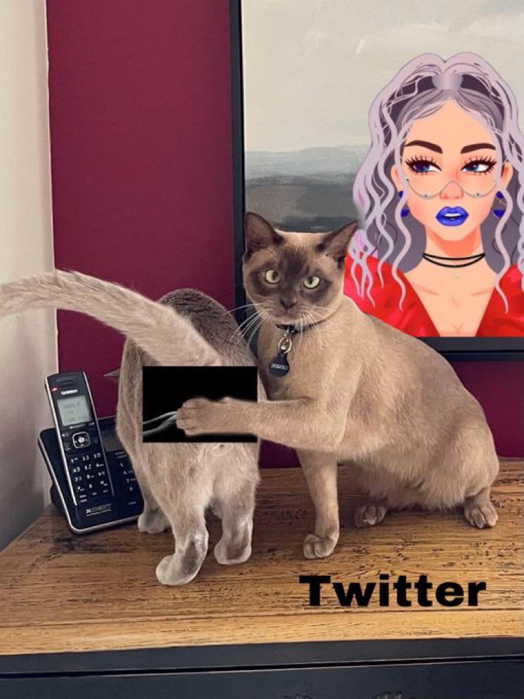 CryptoRick423's tweet photo. 🚨PLEASE Follow 🔥🔥🔥🔥@UnBridalBoudoir the artist behind Dangerous Curves, that was unjustly suspended on twitter for her beautiful #photography & #Art 😡 Help her get back to where she was at 5k followers. #FreeXDom #NFT #NFTCommunity #WomeninNFTs #NFTs 🚨Please #RT👈 https://t.co/fNAQwcMNMc