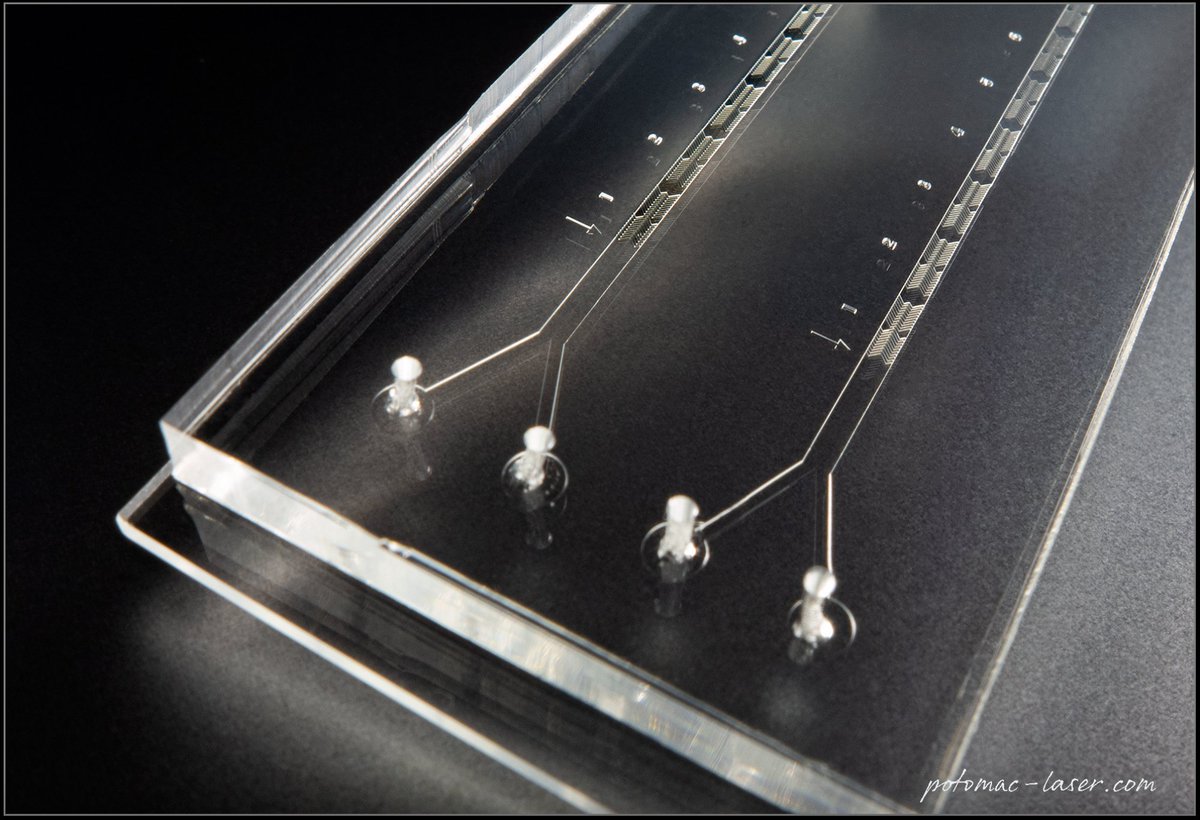 #Microfluidic #devices may SOLVE crimes??!
#Microfluidics offer various advantages for forensic DNA analysis, such as reduced risk of contamination, shorter analysis time and direct application at the crime scene. #forensics #DNA #ScienceTwitter #STEM
