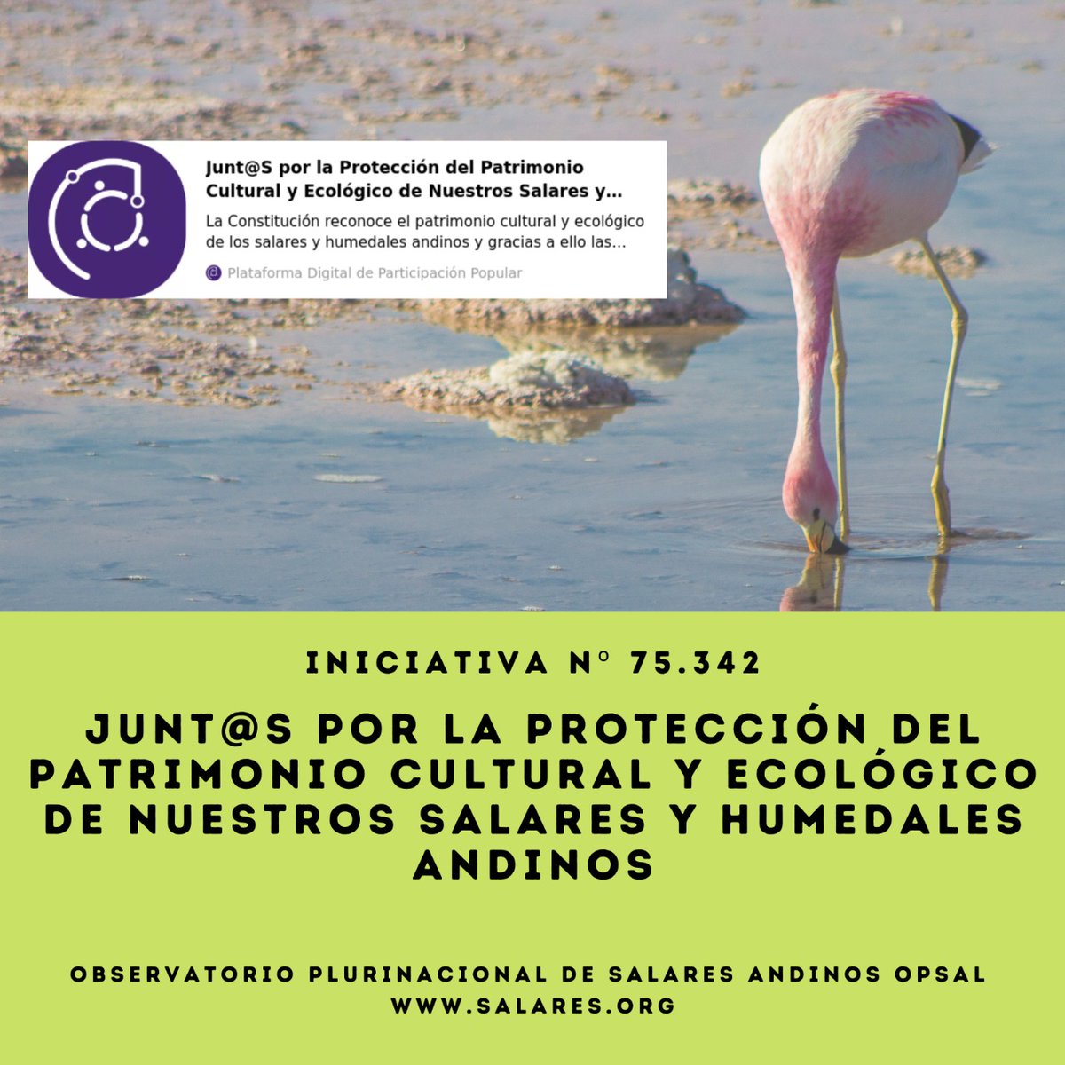 OPSAL_'s tweet photo. ¿Sabes lo que es la #iniciativa75.342? Es una #IniciativaPopularDeNorma con la que, #OPSAL y organizaciones ciudadanas buscan el reconocimiento y la protección constitucional de las cuencas de los salares y humedales andinos. https://t.co/CNyU7iddob https://t.co/b5eSVk3Ux1